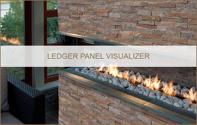 Ledger Panel Visualizer