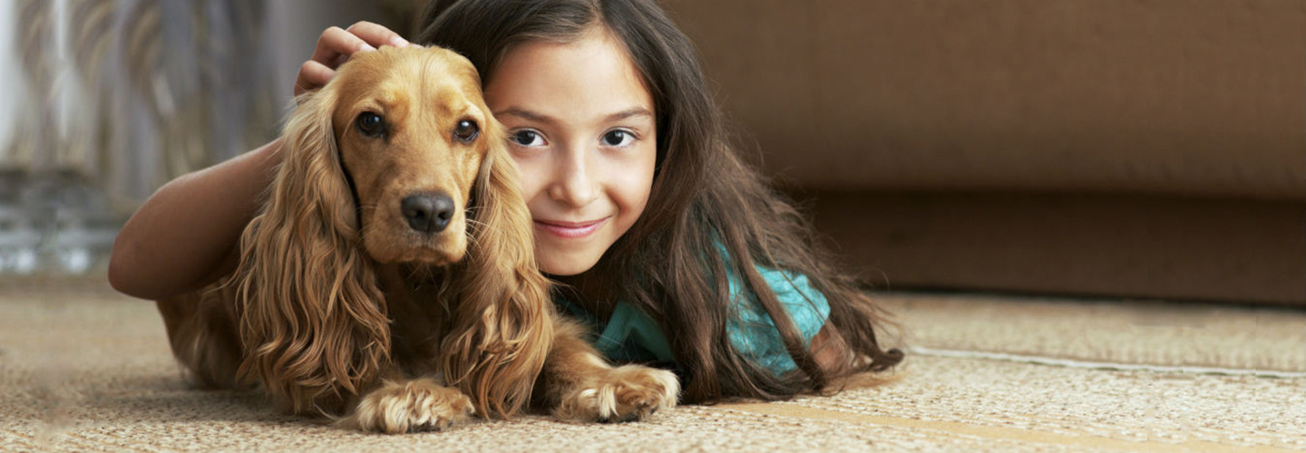 Put our experience to work for you! Let us help select the perfect flooring for your lifestyle and budget.