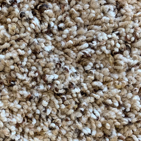 Dream Weaver - Talk Of The Town - Briarwood